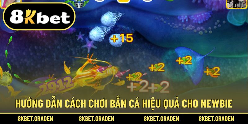 Hướng dẫn cách chơi bắn cá hiệu quả đơn giản làm quen