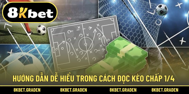 Hướng dẫn dễ hiểu trong cách đọc tỷ lệ 1/4