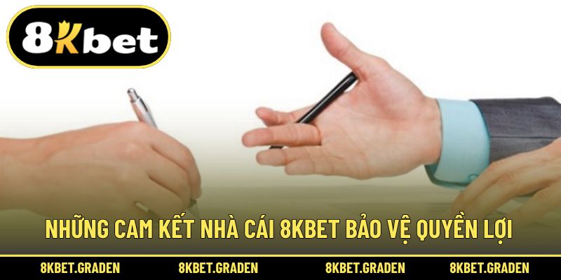 Tổng hợp thông tin mà 8kbet cam kết cho người chơi