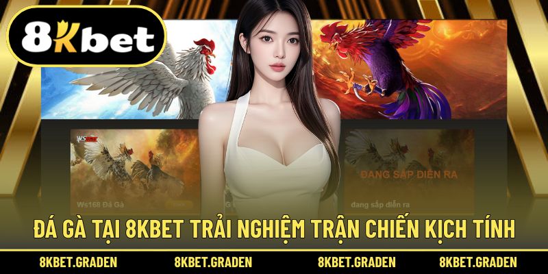Đá gà sẽ được trải nghiệm những trận chiến kịch tính